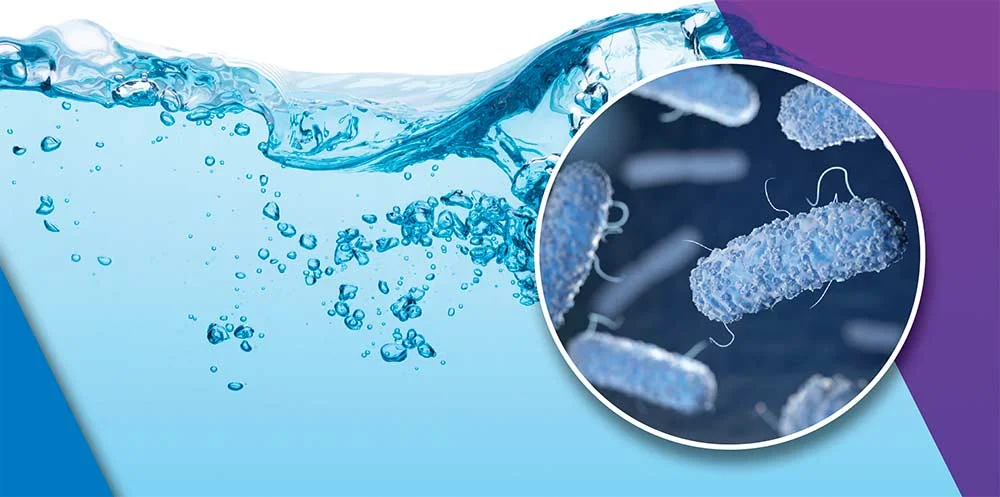 FAQs on Legionella Testing and Risk Management 12 FAQs 13