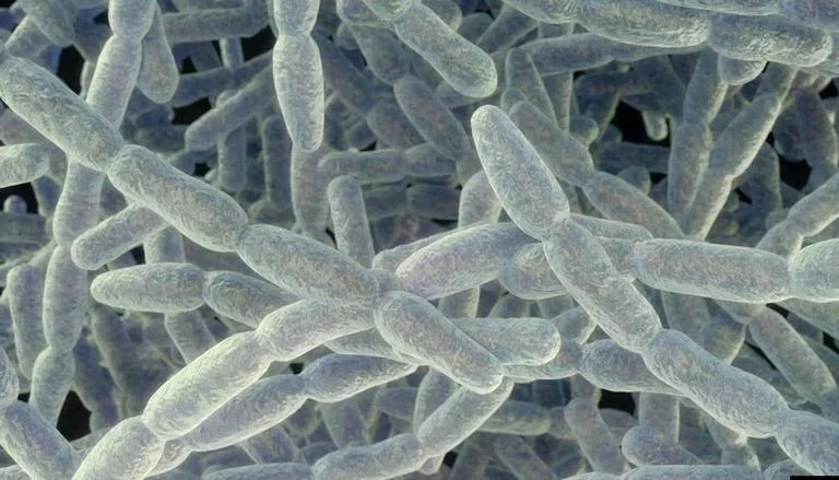 FAQs on Legionella Testing and Risk Management 14 FAQs 15