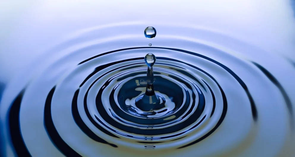 FAQs on Legionella Testing and Risk Management 2 FAQs 3