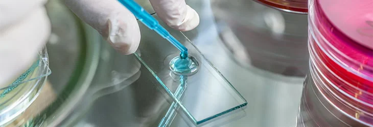 FAQs on Legionella Testing and Risk Management 5 FAQs 6