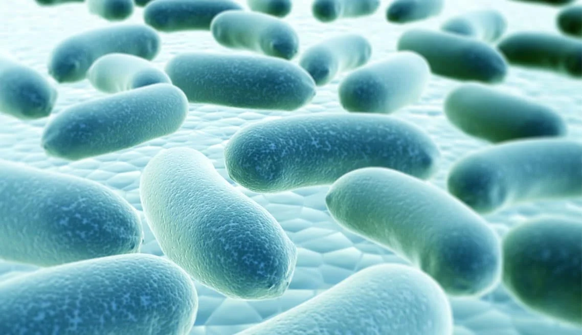FAQs on Legionella Testing and Risk Management 6 FAQs 7